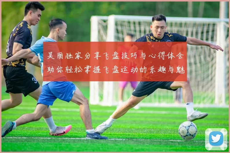 吴丽独家分享飞盘技巧与心得体会助你轻松掌握飞盘运动的乐趣与魅力