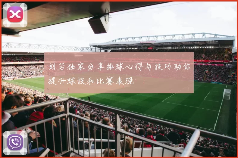刘芳独家分享排球心得与技巧助你提升球技和比赛表现