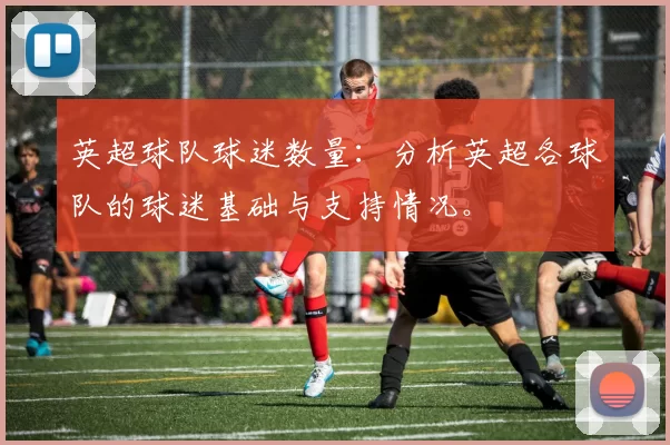 英超球队球迷数量：分析英超各球队的球迷基础与支持情况。