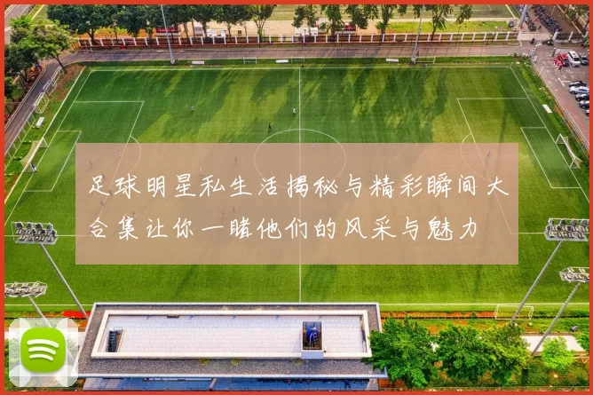 足球明星私生活揭秘与精彩瞬间大合集让你一睹他们的风采与魅力