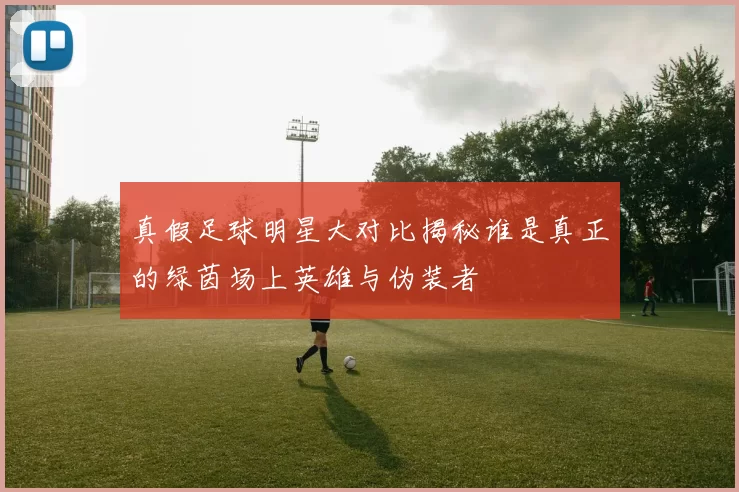 真假足球明星大对比揭秘谁是真正的绿茵场上英雄与伪装者