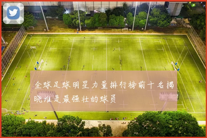 全球足球明星力量排行榜前十名揭晓谁是最强壮的球员